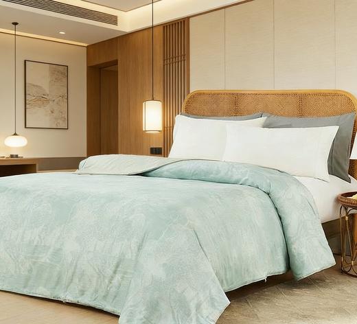 山姆新品‼️‼️Membr‘s Mark桑蚕长丝夏被  200cm*230cm适用于1.5M1.8M床 商品图4