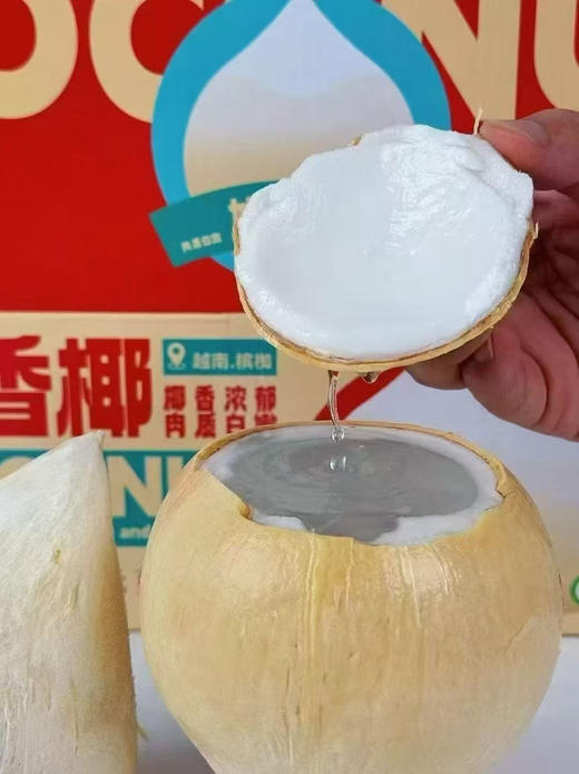 泰国椰皇 一箱9个 商品图1