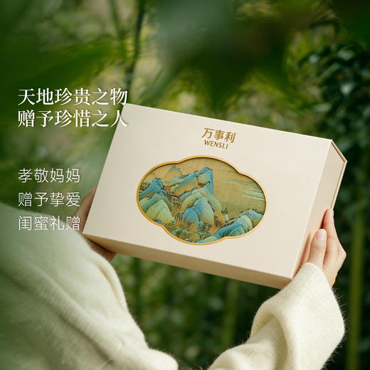 2026春茶《只此青绿·宋韵礼》丝瓷茶礼盒 商品图8