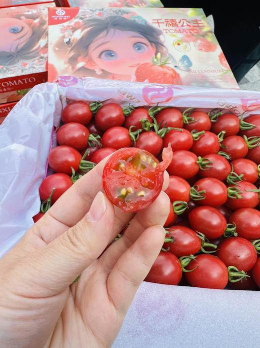 超好吃小红帽千禧小番茄 商品图10