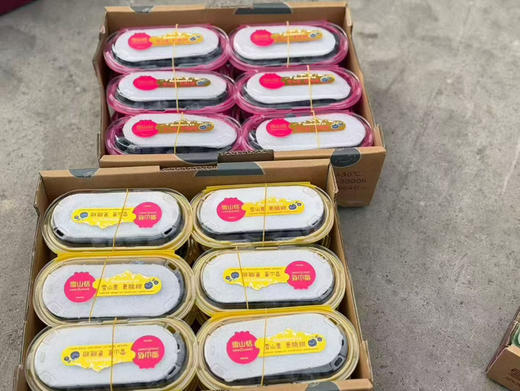 雪山恬云南脆甜蓝莓22+ 商品图12