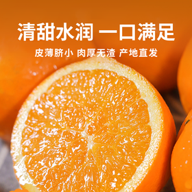 【伦晚脐橙】皮薄脐小肉厚无渣 清甜水润一口满足