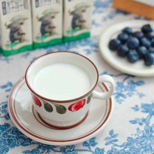 【3月20日最新生产日期，保质期6个月，全家一起喝建议囤2份】【99元4箱】【补充优质乳蛋白 水牛奶】丝滑醇厚 ~ 商品图6