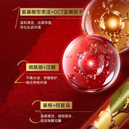 菁华全固发防脱套装洗发水+护发素套盒 （250ml+250ml)温和无刺激去屑控油男女适用 商品图4