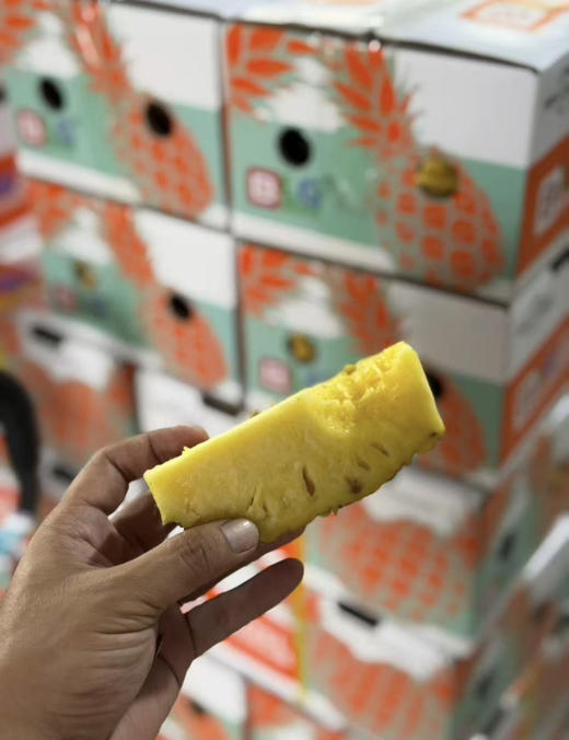 玫瑰凤梨 默认切好（散称13.8/斤 称重补差 ） 商品图1