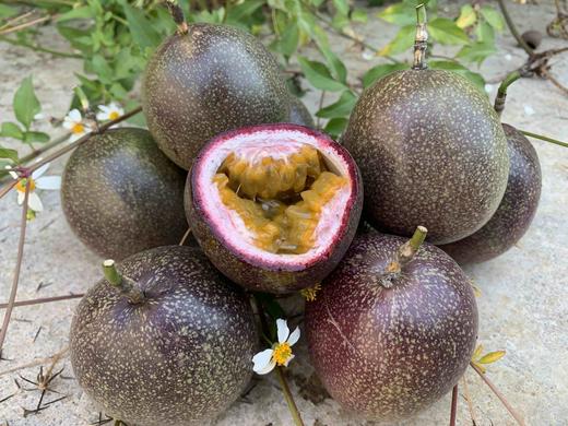 挑采百香蜜果 商品图4