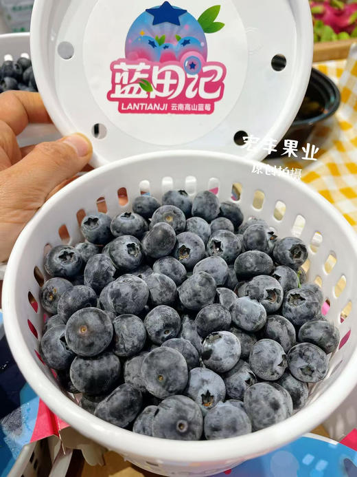 宏丰精选 云南花香蓝莓，口感纯甜，超级好吃，活动价39.9一桶 商品图0