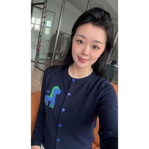 小马刺绣~丝羊毛圆领立体刺绣提花高级感撞色开衫女毛衣针织衫 商品图1