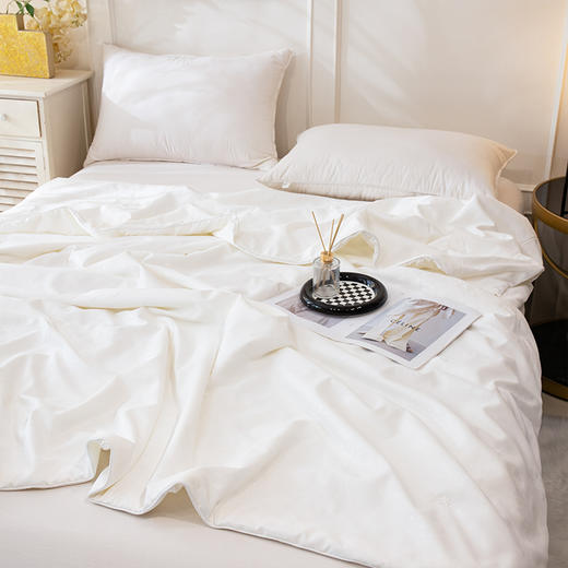 疯抢中！！【送收纳袋+衣架】【有机蚕丝被】面料舒适 丝滑光泽 轻柔无压感 四季适用 1500g 商品图2