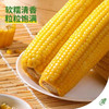 皇金穗 甜糯玉米 220g/袋 商品缩略图4