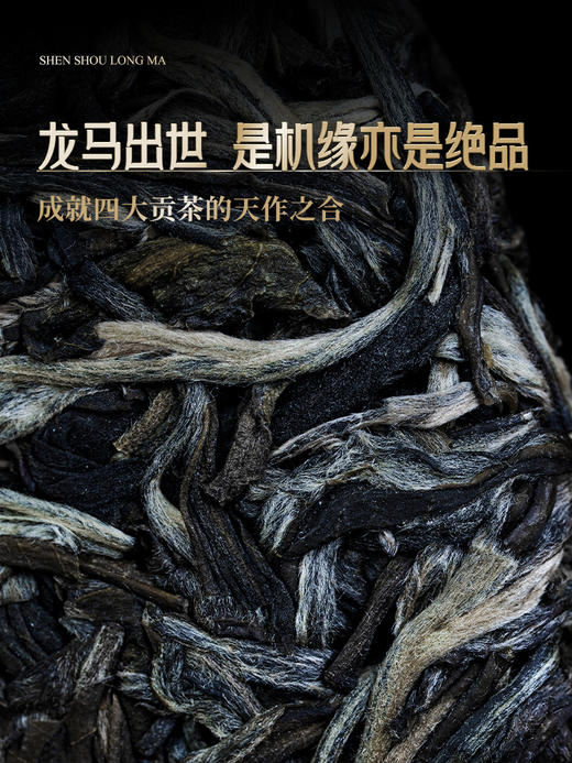 【数量过半！】【神兽系列---龙马】2019年四大贡茶拼配神兽事业部出品轻轻抿一口，回味无穷 创世制作，传世好茶，殿堂级藏品，357克/饼 5饼/箱 商品图4