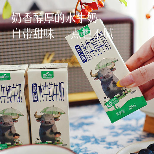 【3月20日最新生产日期，保质期6个月，全家一起喝建议囤2份】【99元4箱】【补充优质乳蛋白 水牛奶】丝滑醇厚 ~ 商品图1