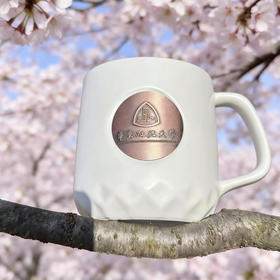 华政校金属校徽马克杯