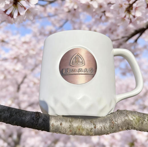 华政校金属校徽马克杯 商品图0