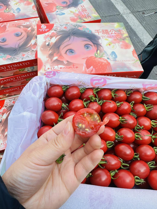 超好吃小红帽千禧小番茄 商品图5