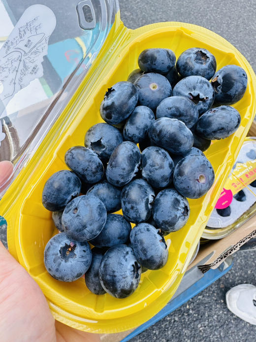 雪山恬云南脆甜蓝莓22+ 商品图5