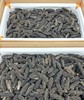 & 精选九年纯淡干海参，泡发率高，肉质紧实，营养价值非常高远超普通参品！！ 商品缩略图12