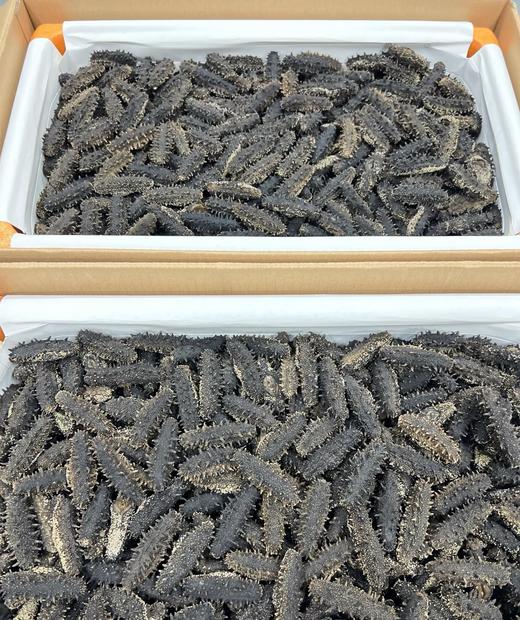 & 精选九年纯淡干海参，泡发率高，肉质紧实，营养价值非常高远超普通参品！！ 商品图12