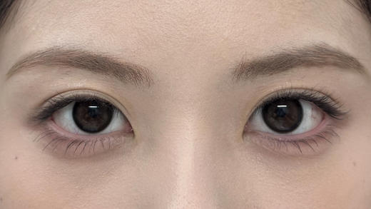 【日抛】小黑猪·Laseecon丨14.2mm（日抛/一盒10片装） 商品图2