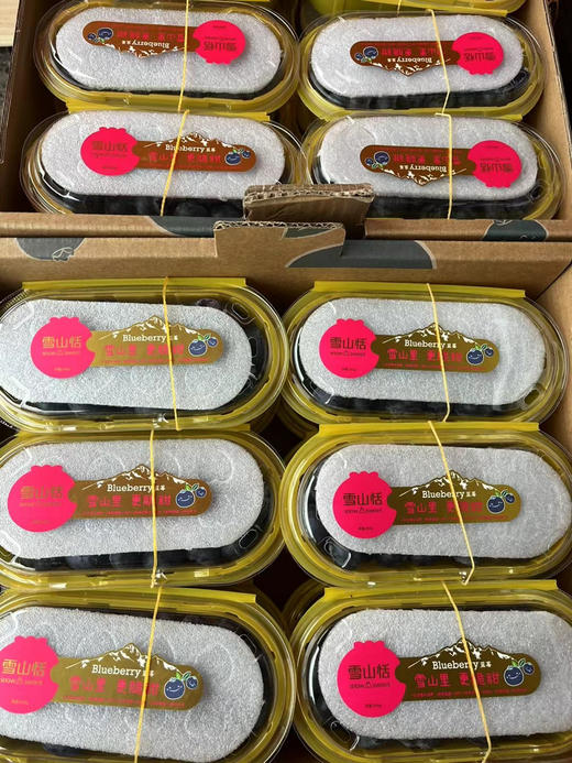雪山恬云南脆甜蓝莓22+ 商品图1