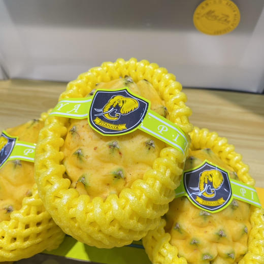 空运象牌燕窝果（约260g） 商品图0