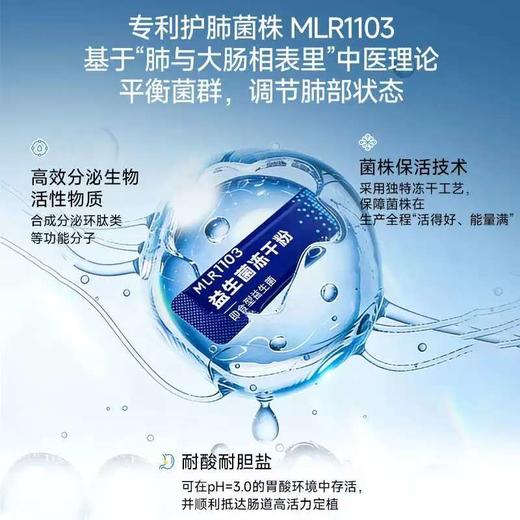 智膳存 益生菌冻干粉活菌粉 成人益生菌 商品图1