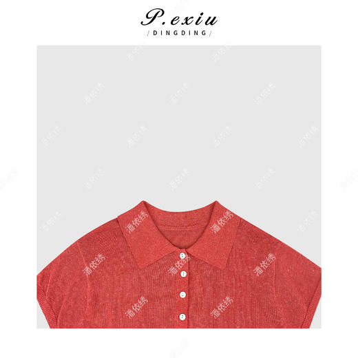 03-5潘依绣丁丁宠粉 天丝亚麻Polo领学院风短袖针织上衣 C025 商品图2