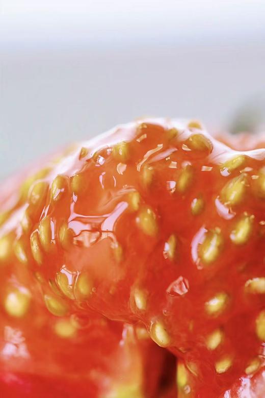 「复刻三十年前的味道」吉野番茄·完熟采摘｜高糖脆 风味浓txa 商品图0