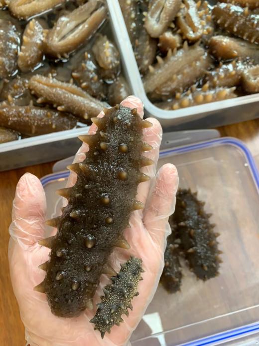 & 精选九年纯淡干海参，泡发率高，肉质紧实，营养价值非常高远超普通参品！！ 商品图7