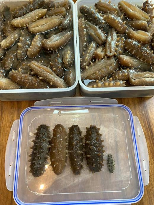 & 精选九年纯淡干海参，泡发率高，肉质紧实，营养价值非常高远超普通参品！！ 商品图9