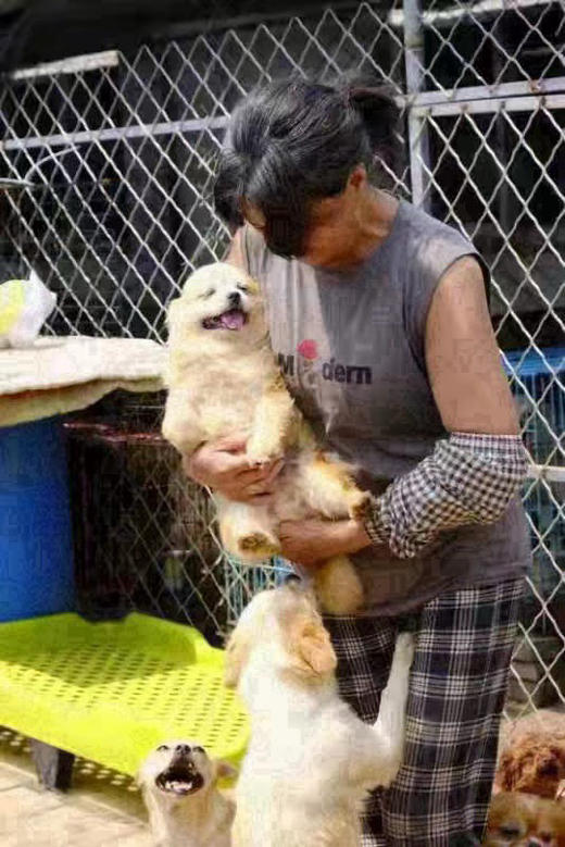 四月大连雪姐素狗粮捐助。 可以是任意地址都会统一寄给雪姐。 商品图0