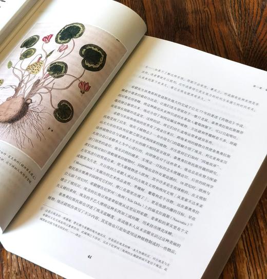 【特惠】《植物命名的故事》，16开平装，[英]安娜.帕沃德著，三联书店2020年一版一印，506面，定价129元，售价：51元。 商品图4