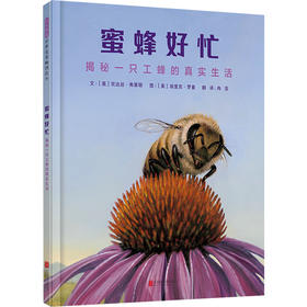蜜蜂好忙：揭秘一只工蜂的真实生活