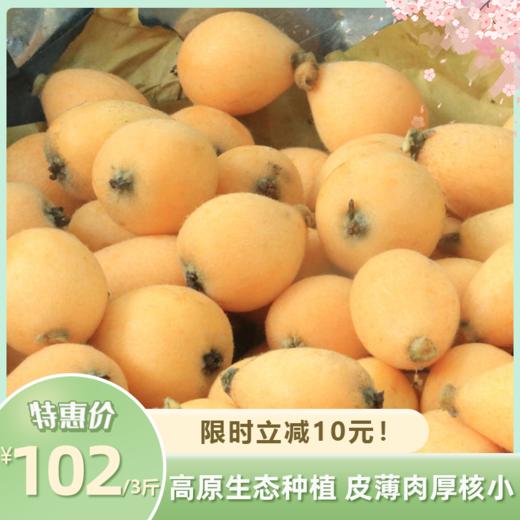 蒙自长虹枇杷 | 高原生态种植 皮薄肉厚核小 清甜爆汁细腻无渣 现摘现发应季鲜果润肺解馋 现摘现发应季鲜果润肺解馋 商品图0