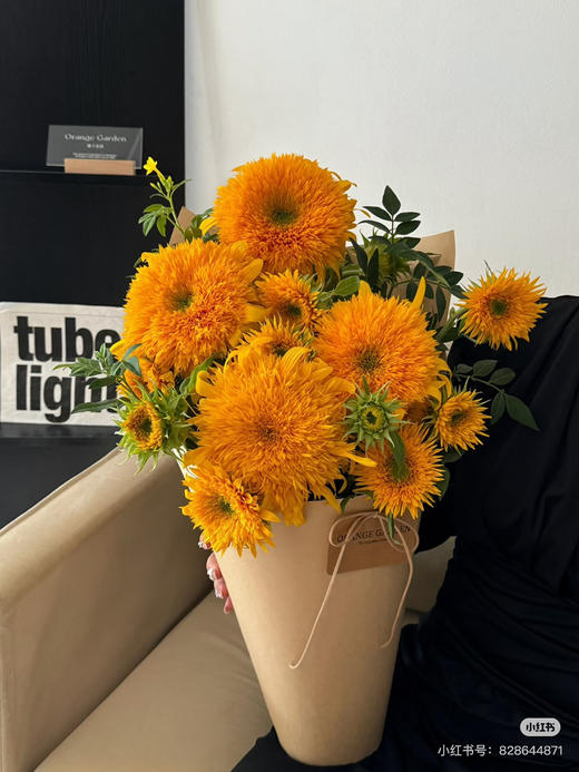 【向阳而生】多头泰迪向日葵  3枝/扎 商品图1