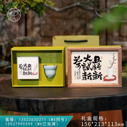 29元一套 / 一箱24套 试新茶 【单罐+杯 草绿色】 商品图0