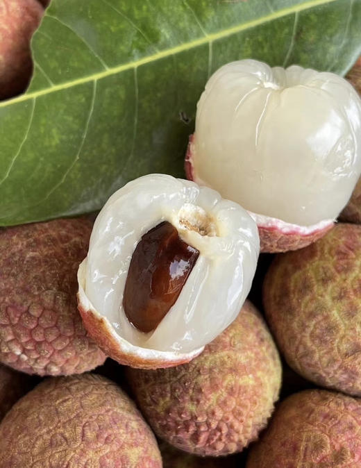 海南空运桂花香荔枝 商品图2