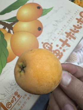 白富美·蜜汁枇杷
品质巅峰！个个漂亮，光洁无斑，柔软多汁！真的已经很甜[耶]可以放心购买哦[嘿哈]