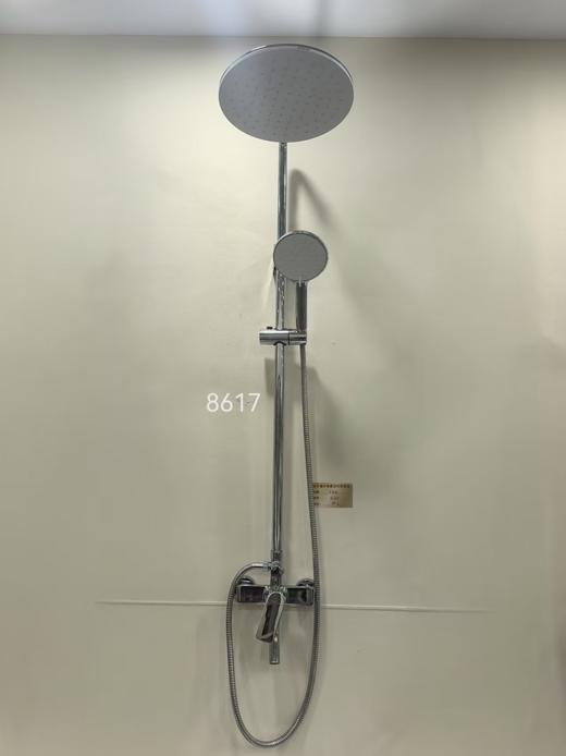 法恩莎卫浴 大花洒 FV2M8617CP 商品图1