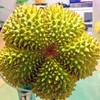 [最农公社]泰国榴莲甲仑榴莲味道浓郁果型口感好 商品缩略图6