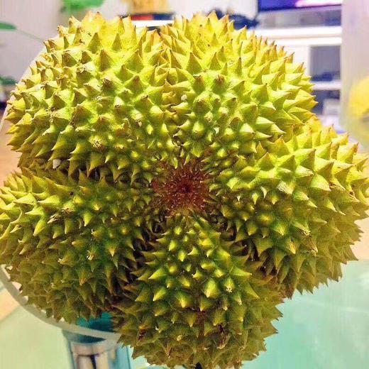 [最农公社]泰国榴莲甲仑榴莲味道浓郁果型口感好 商品图6