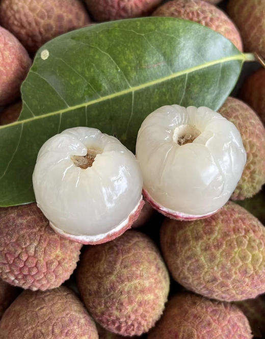 海南空运桂花香荔枝 商品图5