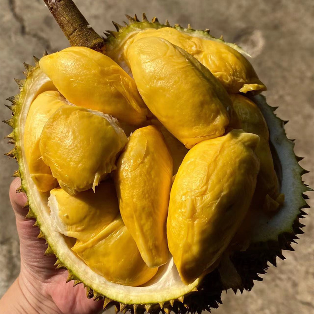 [最农公社]泰国榴莲甲仑榴莲味道浓郁果型口感好