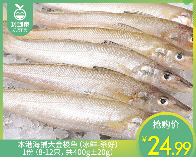 本港海捕大金梭鱼（冰鲜-杀好）/1份（8-12只，共400g±20g）