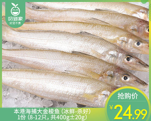 本港海捕大金梭鱼（冰鲜-杀好）/1份（8-12只，共400g±20g） 商品图0