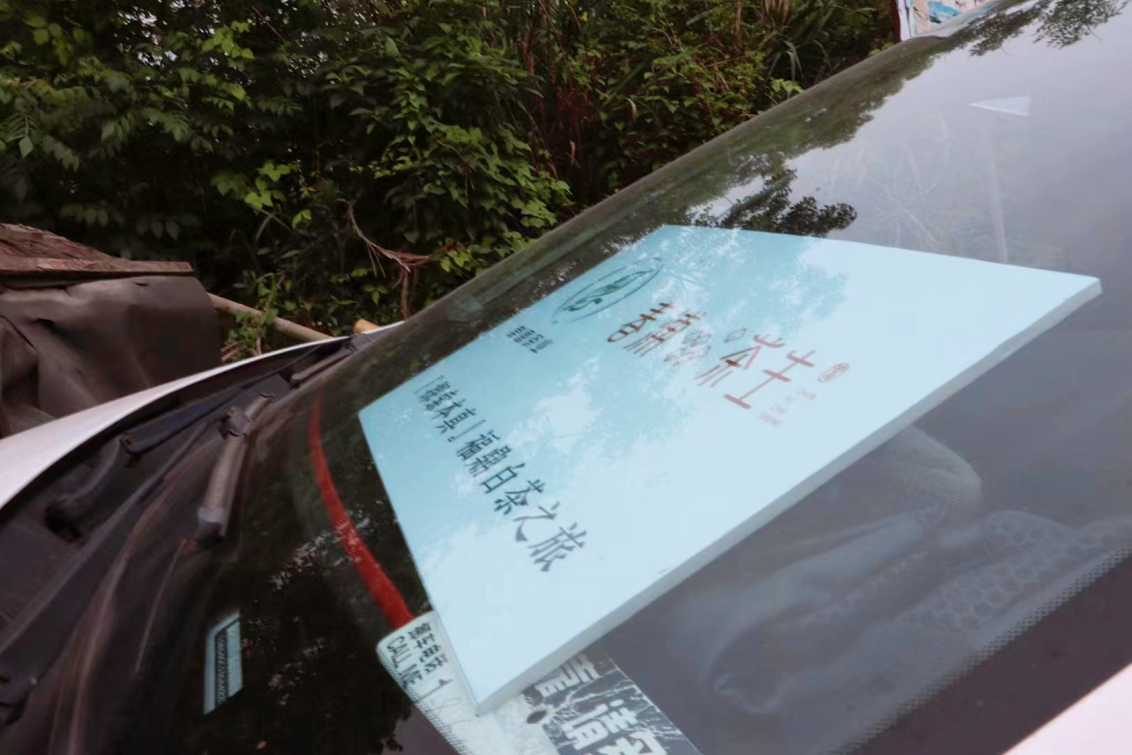 到福鼎，见春山〡4月12-16日第三期福鼎白茶游学招募