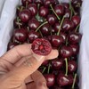 王牌！大连樱桃【净重约1.8斤】不要拿现在市场上的货来比，这款超甜超好吃！ 商品缩略图0