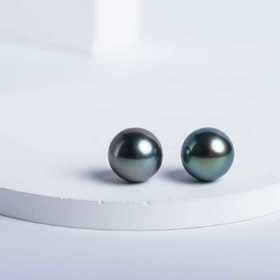 ⁶福利款【大溪地黑珍珠】S925银耳钉，12-13MM，编号ED158，出证书，48小时鉴赏期——SS06-CR-YMZZ【HOT】