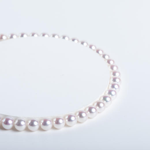 ⁶【akoya珍珠】S925银扣头项链，7.5-8MM，编号XL543，带真科研ROSE P证书，48小时鉴赏期——SS06-CR-YMZZ【HOT】 商品图2