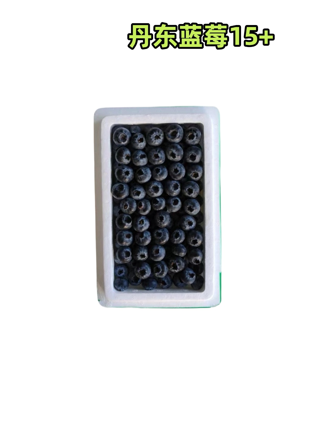丹东蓝莓15+